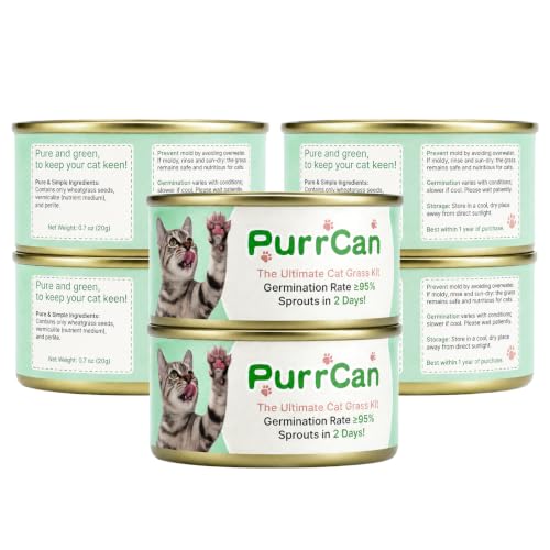Majero Cat Grass Kit - 6 Cans with Premium Non-GMO Organic Wheat Seeds, Fast Growing Cat Grass Kit, No Soil, Care-Free, Perfect for Beginners, Ideal Birthday Gift for Cat Lovers