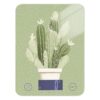 MAOBLYR Cactus in Pot Food Kitchen Scale Digital Grams and Ounces