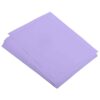 MECCANIXITY 100 Sheets Colored Copy Paper 8.3 x 11.7 Inch Printer Paper 80gsm Light Purple for Office Printing, Document Copying, Invitations, Forms, Art Projects