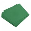 MECCANIXITY 100 Sheets Origami Paper Double Sided Emerald Green 6x6 Inch Square Sheet for Art Craft Project, Beginners, Gifts Decor