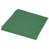 MECCANIXITY 25 Sheet Origami Paper Double Sided Emerald Green 10x10 Inch Square Sheet for Art Craft Project, Beginners, Gifts Decor