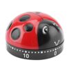 Mechanical Kitchen Timer, Cute Timer for, Wind Up 60 Minutes Manual Countdown for Classroom, Home Mechanical Kitchen