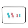 Meiosis Chromosome Variation Model Red Blue Biology Demonstration Kit