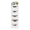 Mgorgeous 5-Drawer Storage Cabinet with Wheels, PP Space-Saving Organizer