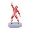 MINGLEA Full Body Muscle Anatomy Model Desktop Teaching Display Figure with Base, Human Muscle Structure Study Model for Classro