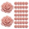 Moicstiy 50 Pcs 19mm Rose Beads, Pink