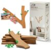 Monkey Business Memo Tree 6 Cork Board Strips, 6 Branch Tiles for Wall Organization and Office Decor - Cute Decorative Bulletin Board Set with 35 Leaf Pushpins & No-Drill Adhesive Tape, 10x30cm