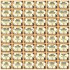Motipuns 48 Pcs Halloween Costume Contest Award Certificates 8.5'' x 11'' Halloween Party Winner Recognition Certificates for Kids Adults Contest Scariest Holiday Parties Prize Ceremony Costume