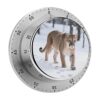 Mountain Lion Stainless Steel Mechanical Kitchen Timers