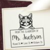 Munchkin Cat from the Classroom of Teacher Stamp, Duo Hand Mount