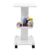 MXDLYHHHT Multiple Uses Beauty Salon Trolley On Wheels Work Equipment Rolling for Salons Barber Shops Strong Durable