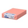 Naruto – 4579 nagatoya Color Paper B5 Top Thick Mouth Salmon 250 Sheets/Pack [0524579]