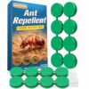 NCSIFDD Ant Away Repellent Indoor, Ant Away for Outdoor Use, Helps Keep Black Ants & Sugar Ants Away from Kitchen, Bathroom, Pantry & Home Areas, Easy to Use, Kid & Pet Safe-16 Pcs
