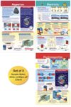 NewPath Learning Electricity & Magnetism Bulletin Board Charts, Set/3 - Laminated, Double-Sided, Full-Color, 12" x 18" (94-9004)