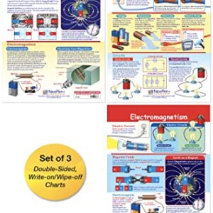 NewPath Learning Electricity & Magnetism Bulletin Board Charts, Set/3 - Laminated, Double-Sided, Full-Color, 12" x 18" (94-9004)