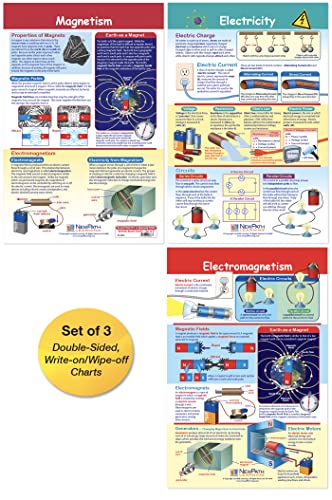 NewPath Learning Electricity & Magnetism Bulletin Board Charts, Set/3 - Laminated, Double-Sided, Full-Color, 12" x 18" (94-9004)