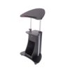 Noeko Adjustable Sit-to-Stand Rolling Laptop Desk with Tilt Top & Storage