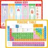 Non-Slip Placemats for Kids, 2 PCS Washable Table Mat,