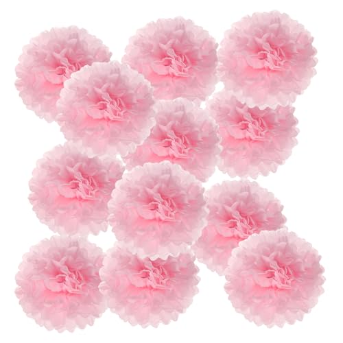 PATIKIL 14inch Tissue Paper Pom Poms, 12PCS Pom Poms Paper Flowers Ball Tissue Paper Flowers for Wedding Bridal Shower Birthday Bachelorette Party Backdrop Decoration, Pink