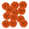PATIKIL 4inch Tissue Paper Pom Poms, 12PCS Pom Poms Paper Flowers Ball Tissue Paper Flowers for Wedding Bridal Shower Birthday Bachelorette Party Backdrop Decoration, Orange Red