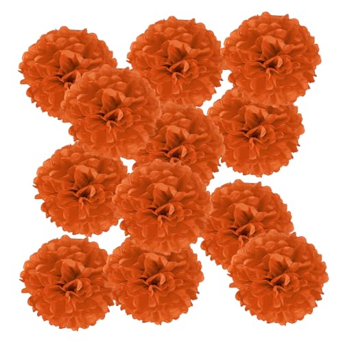 PATIKIL 4inch Tissue Paper Pom Poms, 12PCS Pom Poms Paper Flowers Ball Tissue Paper Flowers for Wedding Bridal Shower Birthday Bachelorette Party Backdrop Decoration, Orange Red
