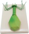 Phage Virus Anatomy Model, Enlarged Bacteriophage Structure Display Model