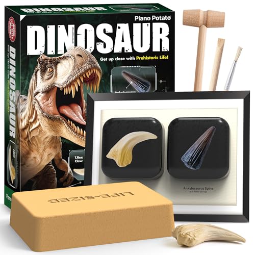Piano Potato Dinosaur Dig Kit - Excavate 2 Life-Sized Fossils (T.Rex Claw & Ankylosaurus Spine) - STEM Authenticated Science Toy with Tools & Display Frame - Gifts for Boys & Girls Ages 6-12