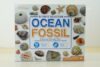 PIBEX Ocean Fossil Collection Kit - 55 Pcs Assorted Fossils, Sea Shells & Seasnails, with Ocean Echo Horn & Learning Book, Earth Science Kit Toy, A Geology Gift for Kids & Adults Ages 8+