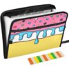 Pigsaly Pink Blue Ice Cream Accordion Filing Folder Expanding File Folder