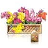 PINELIFE 3D Pop Up Cards Orchid Paper Flower Bouquet