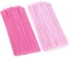 Pink Pipe Cleaners, 100 Pieces Chenille Stems Craft, 12 inch Long Fluffy Pipe Cleaners for Creative DIY Art Craft Projects, Home Decoration Supplies (6 mm x 30 cm, Pink Series-2 Colors)