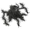 PLAFOPE 30pcs Lifelike Centipedes Halloween Party Plaything for Black TPR
