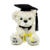 Plush Graduation Bear, Stuffed Animal Toy Keepsake 2026 Graduates, 8.66in