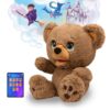 Poe The AI Story Bear