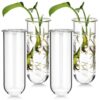 POPETPOP 4PCS Glass Plant Propagation Test Tubes for Hydroponic Cuttings