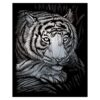 Pracht Creatives Hobby Royal & Langnickel - Scratch Picture White Tiger, Silver, Scratch Pictures for Children and Adults, with Scratch Pen and Template