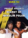 Prodigal Boxer 3 - Secret of the Shaolin Poles