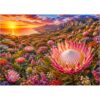 Protea Mountain Coast Sunset Jigsaw Puzzles for Adults 1000 Pieces