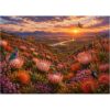Protea Valley Sunset Jigsaw Puzzles for Adults 1000 Pieces