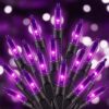 Purple LED Halloween Lights Indoor Outdoor, 33FT 100LED Mini String Lights
