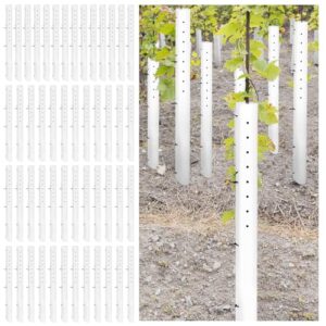 Pushglossy 5 Pack 60 Inch Tree Seedling Sapling Grow Tube Bulk