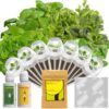Quality Herb Seed Pod Kit for AeroGarden, iDOO, Ahopegarden - Compatible with All Hydroponic Indoor Garden Systems, High Germination, Includes Basil, Parsley, Mint, Cilantro, Liquorice, 7 pods