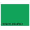 Quantore Copier Paper A4 Grass Green 160g FSC Eco Friendly