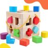 QZMTOY Shape Sorter Toys with 19 Shape Blocks, Classic Wooden Toys for Toddlers Kids, Gift for Girls Boys 2-4 (Natural Solid Wood)