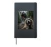 Raccoon Selfie with T-Rex Dinosaur Hardcover Journal, Black