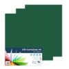 Raylu Paper® 100 x Jungle Green A4 Card 180g 210x297mm Ideal for Binding, Office Work, Drawing, Crafts, Suitable for School Use (Jungle Green)