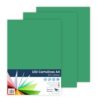 RAYLU PAPER Coloured Paper A4, Pack of 100 Cardboard Paper 180g/m², 210 x 297 mm, Professional Coloured Cardboard Boxes for Office, Copy Paper, Colourful Paper for Crafts (Green Billiard)