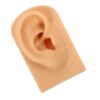 Realistic Silicone Ear Model for Piercing Practice, Jewelry Display