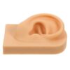 Realistic Silicone Fake Ear Model for Jewelry Display and Piercing Practice