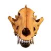 Realistic Wolf Head Bone Model Resins Animal Skull Skeleton Replicas Educational Tool for Anatomy Study Home Decors Gift Artistic Wolf Skull Resins Art